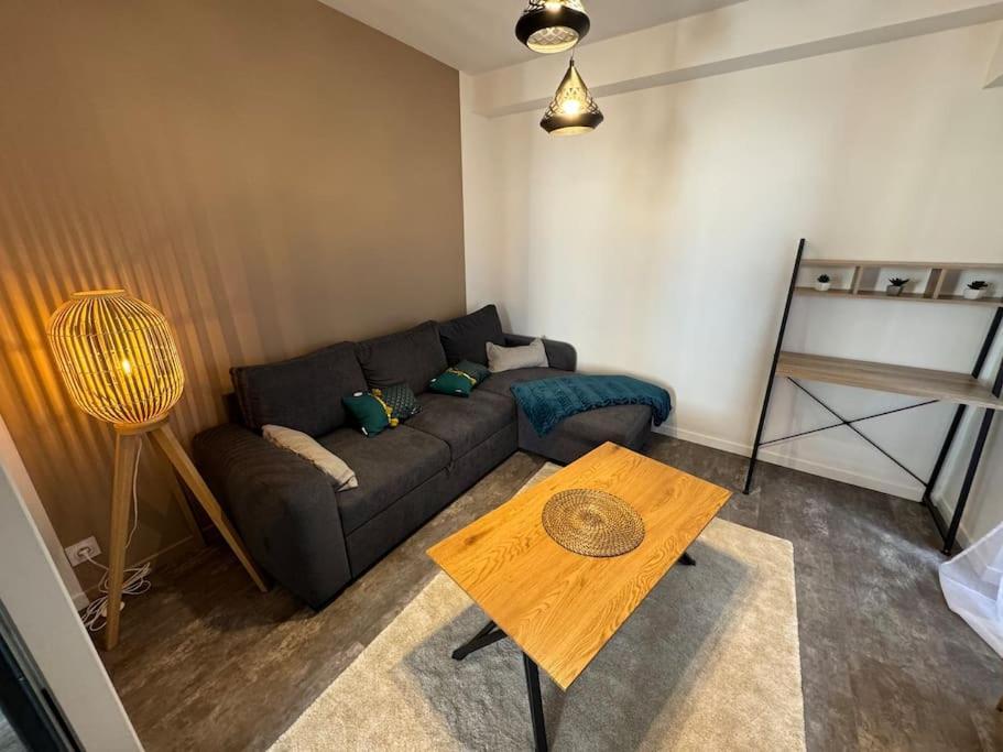 Appartement Cosy Et Lumineux Dans Village Medieval Boulieu-les-Annonay Εξωτερικό φωτογραφία